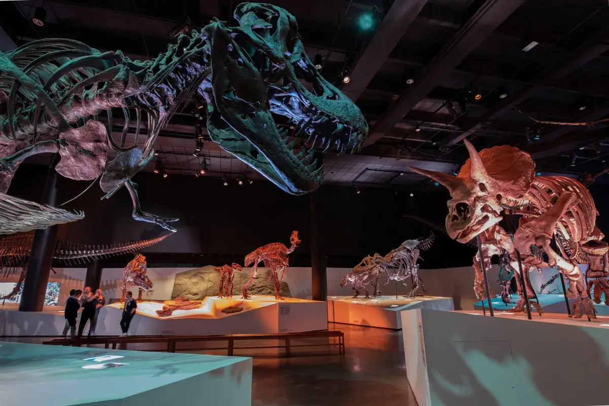 Museum of Natural Science